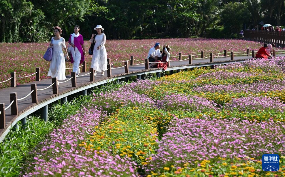 博鳌花开迎客来 博鳌花开迎客来
