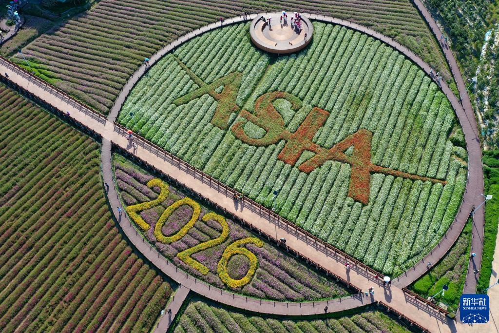 博鳌花开迎客来 博鳌花开迎客来