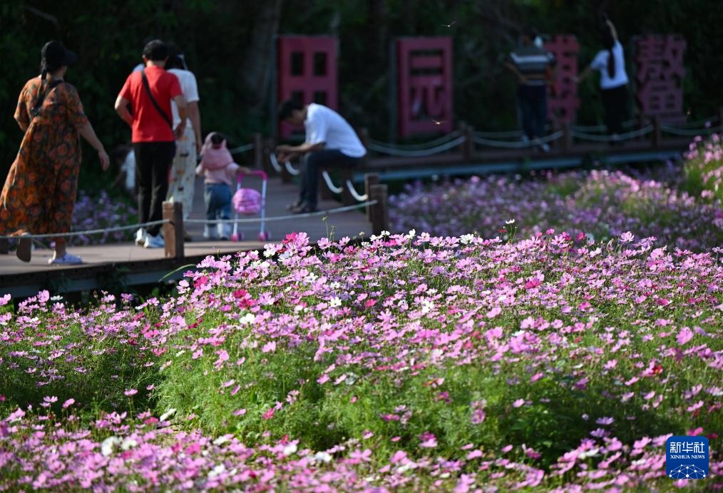 博鳌花开迎客来 博鳌花开迎客来
