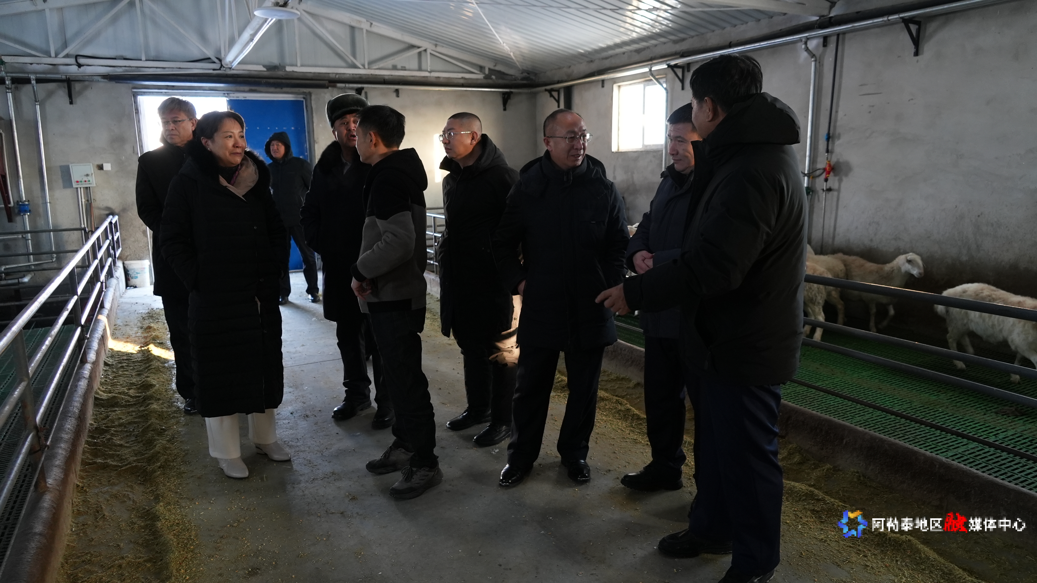 mmexport1735137185953