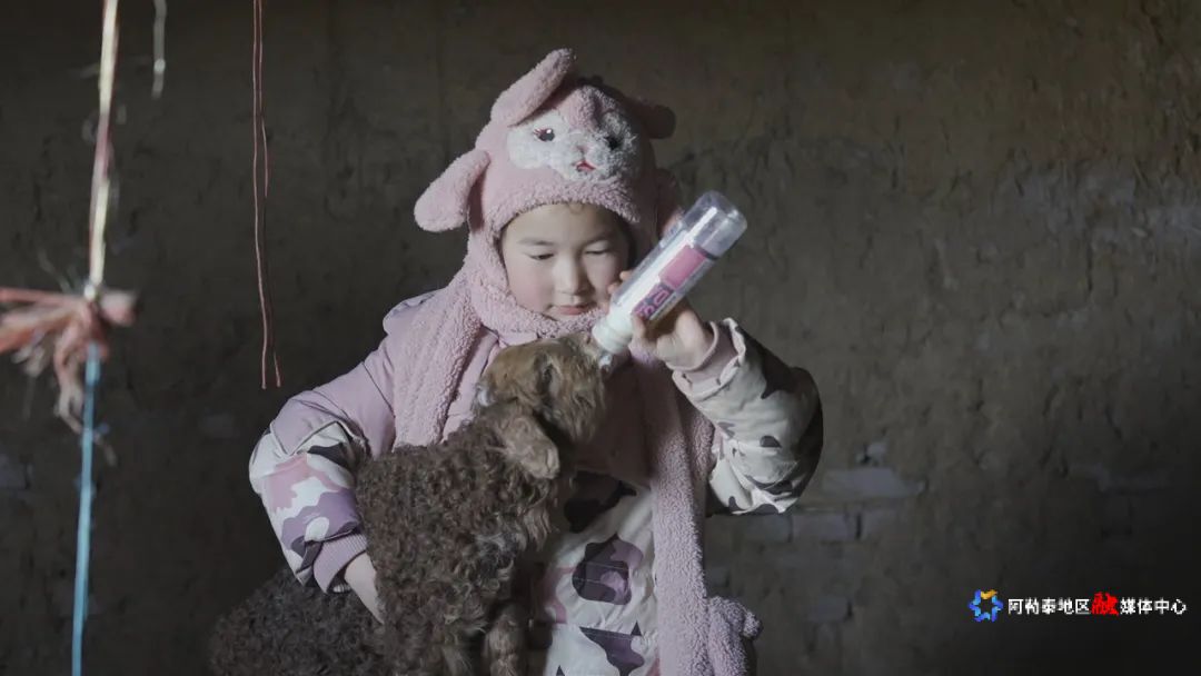 mmexport1741162742033