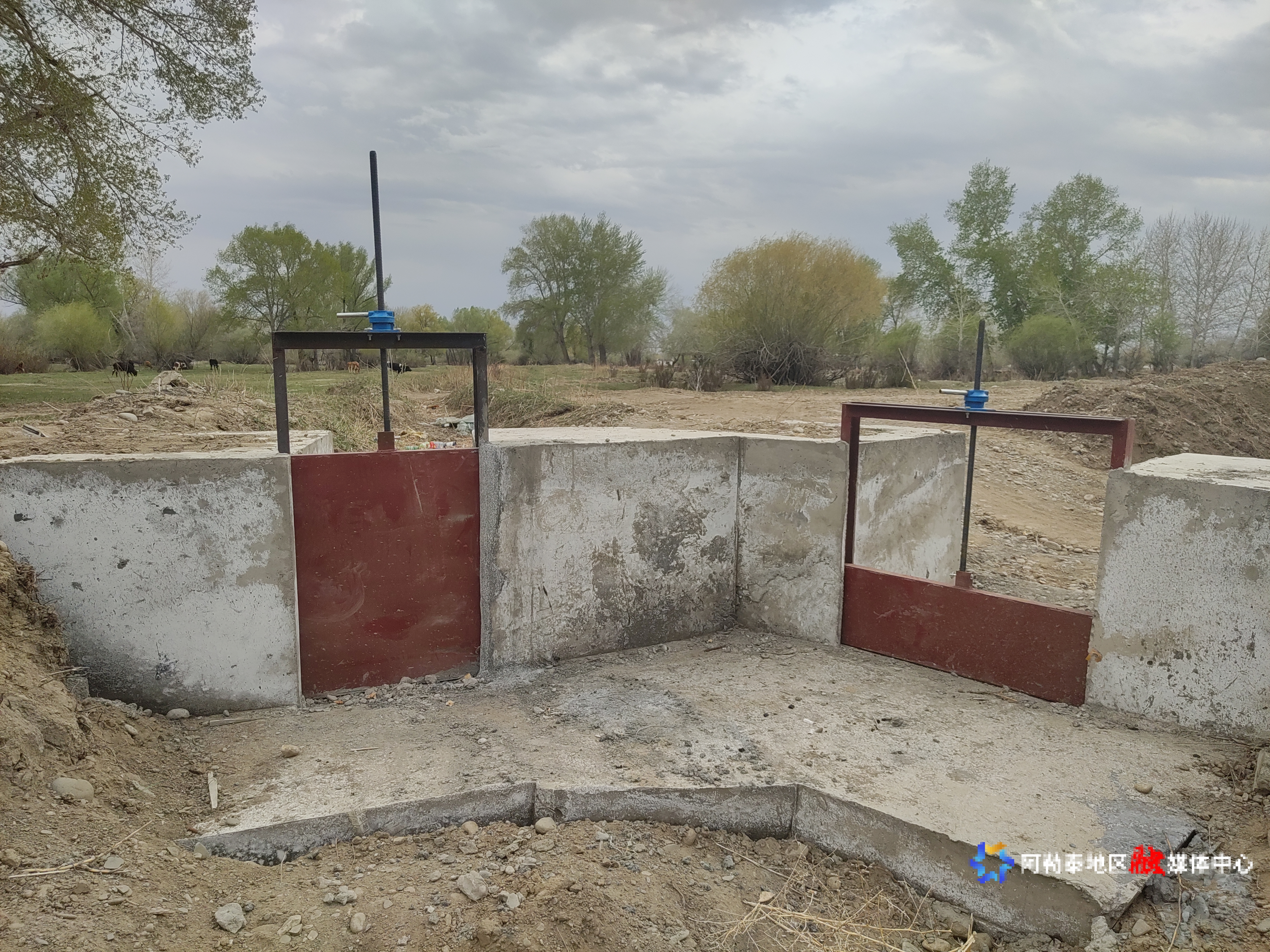 mmexport1746014110238