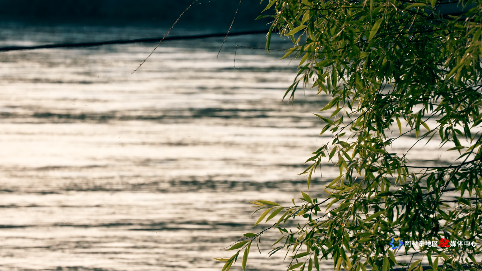 mmexport1748338175415