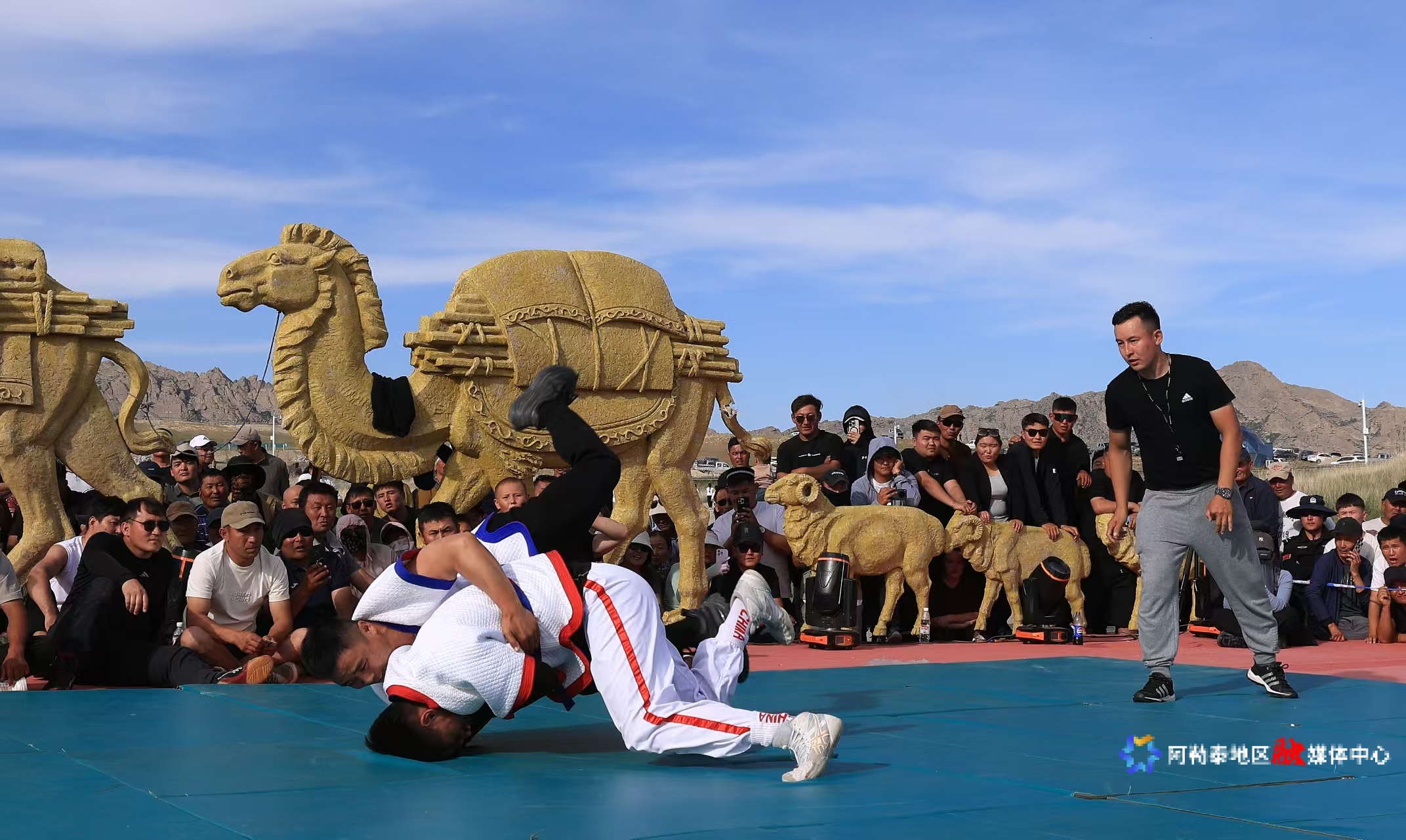 mmexport1748786404118