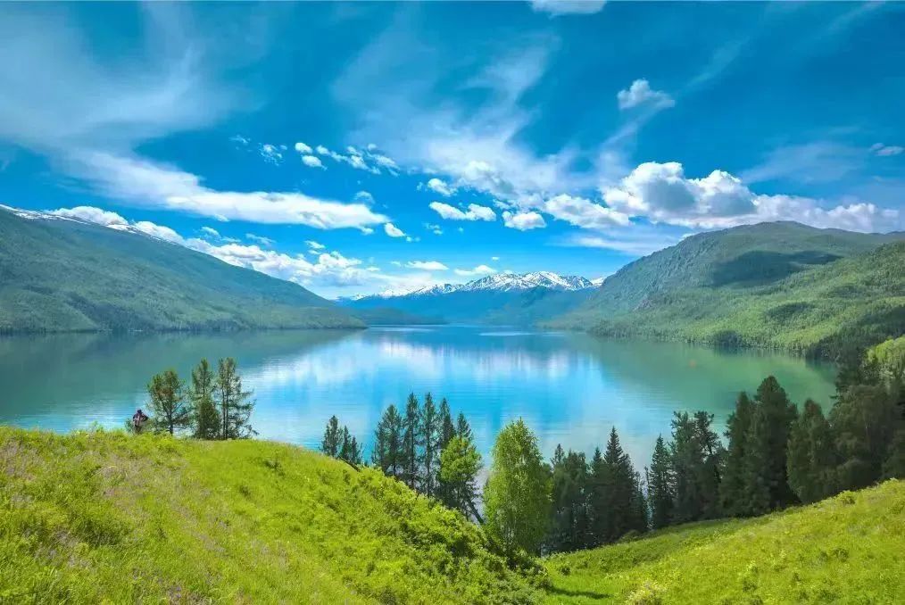 mmexport1751602750916