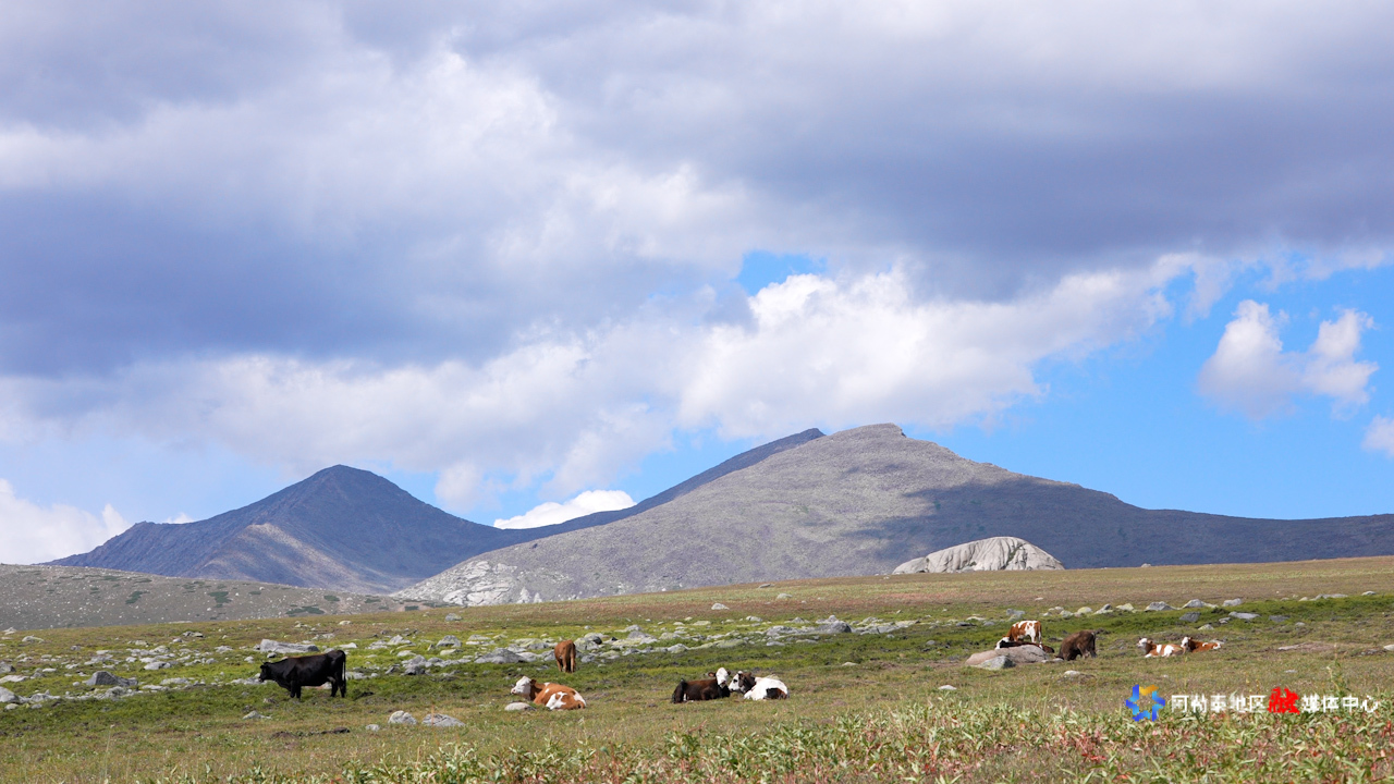 mmexport1753166643441