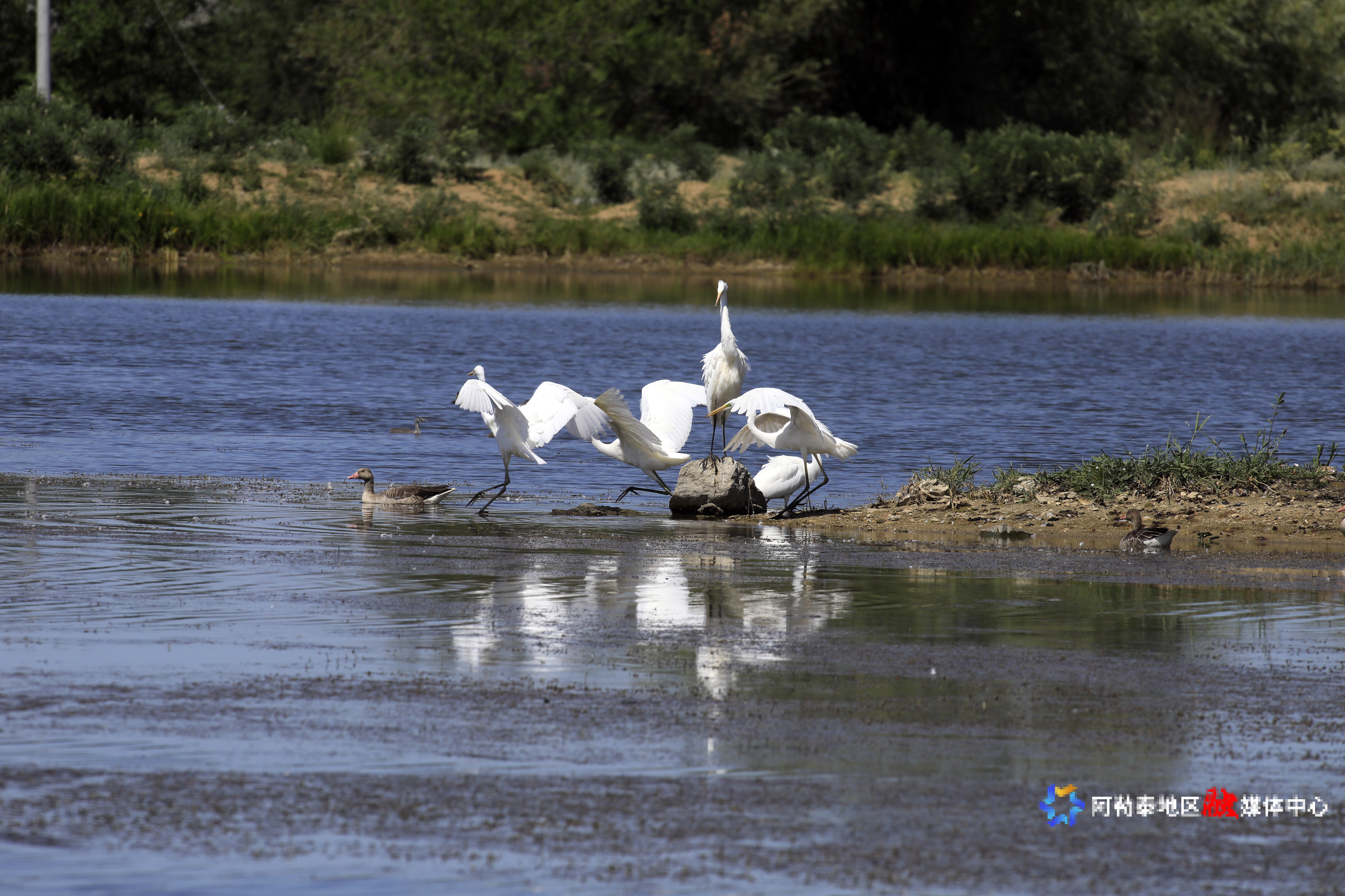 mmexport1752893487594