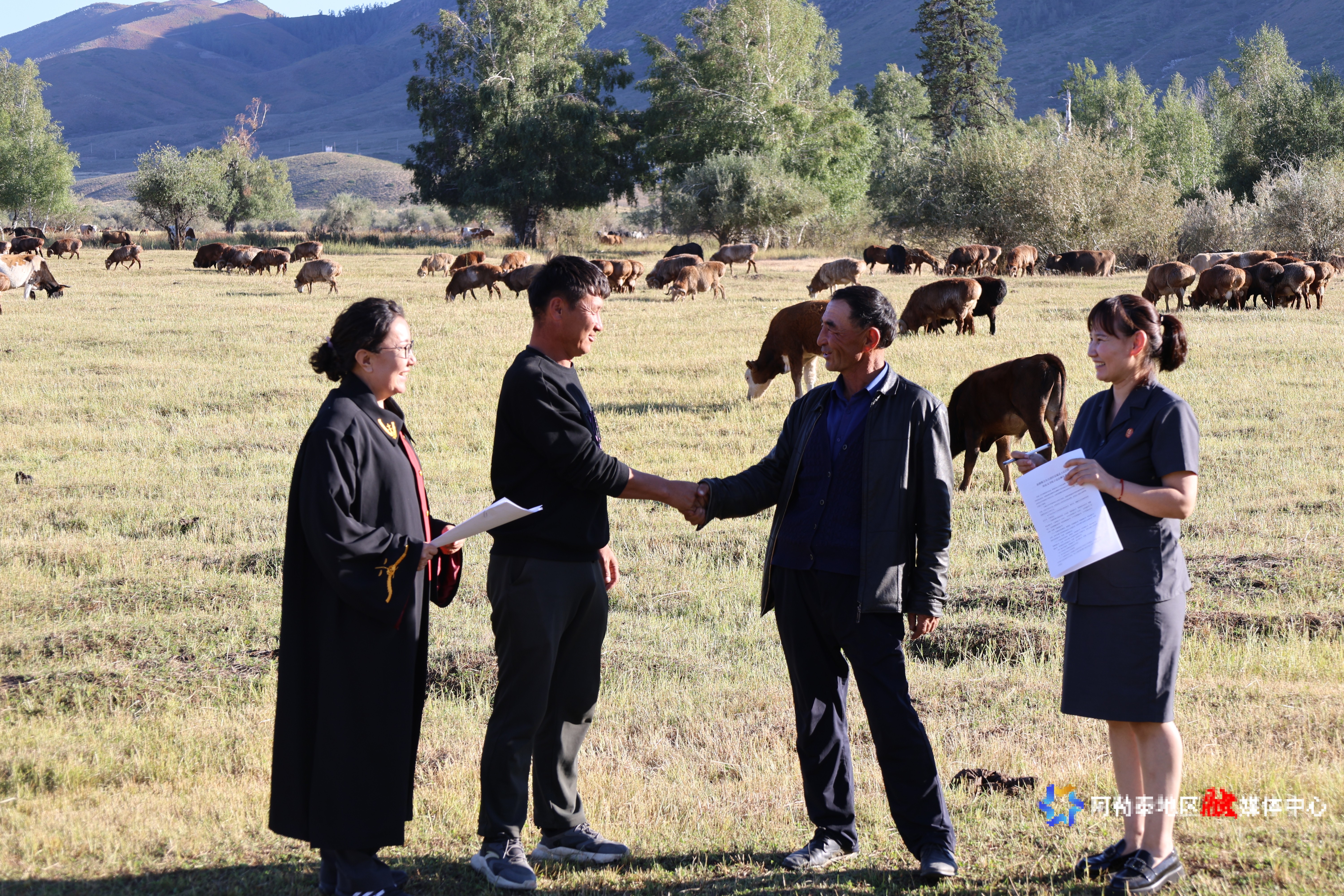 mmexport1755925412060