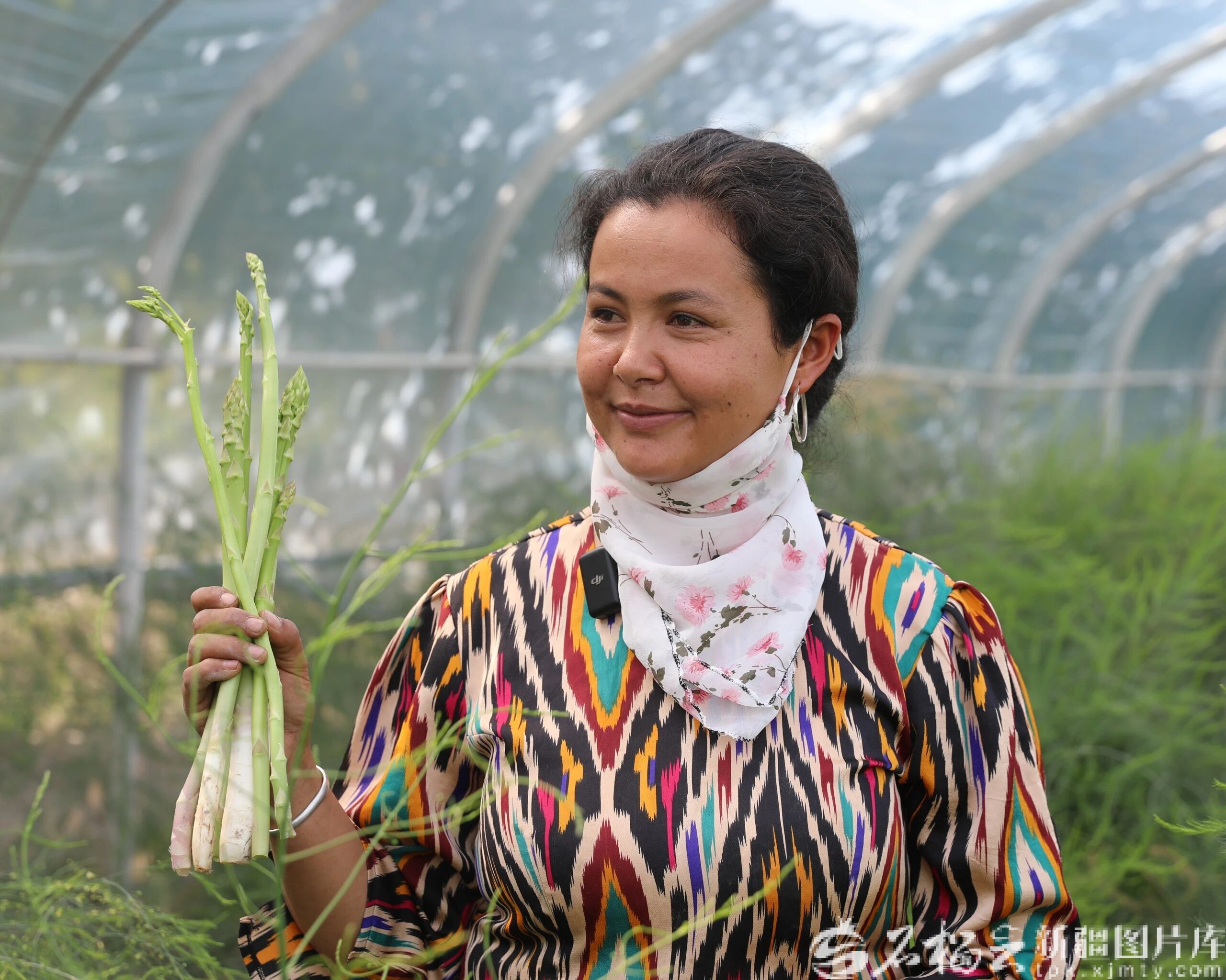 IMG_CROP_20260121_15130286